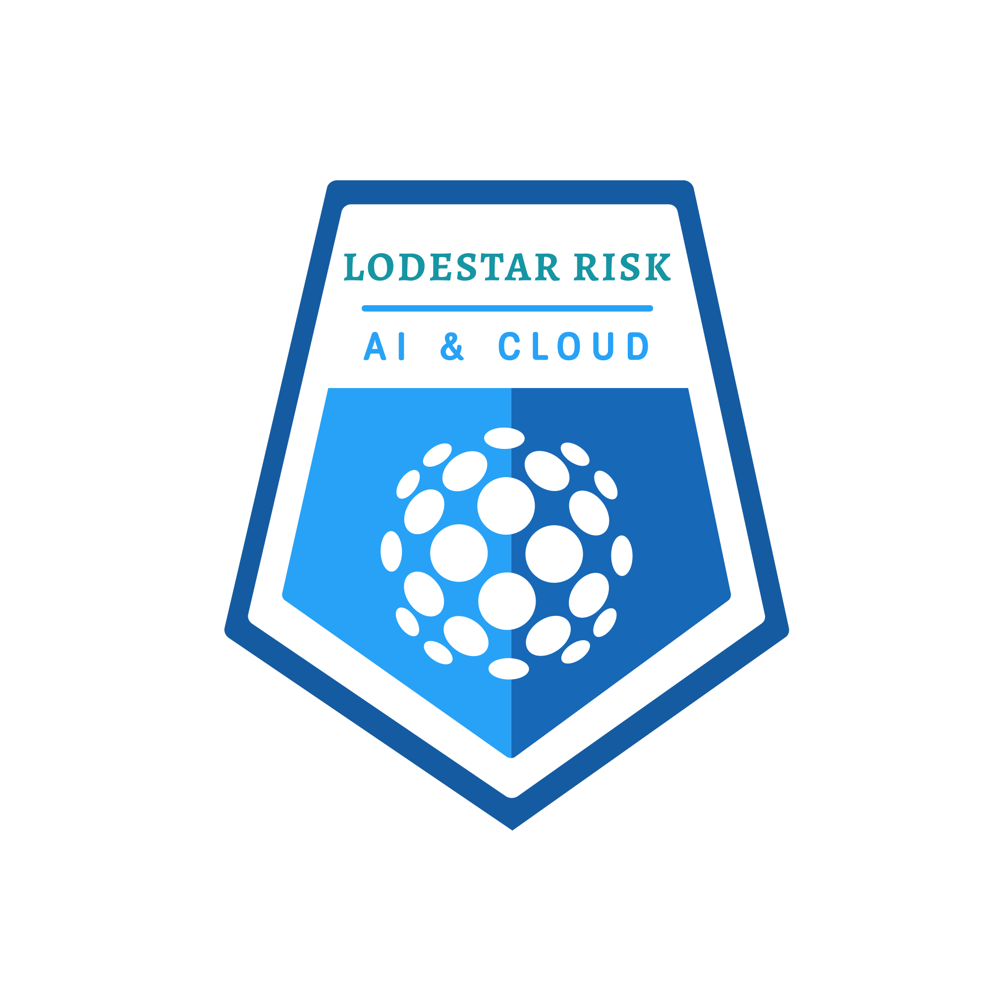 AI Risk Management